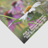 ピンクと白のエキナセア 薄葉紙 (詳細)