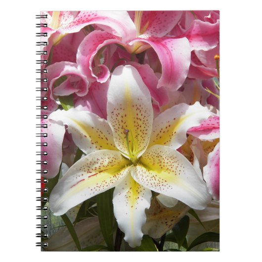 ピンクと白のオリエンタルリリーフローラ ノートブック (正面)