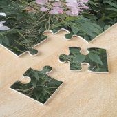 ピンクと白のクレオーム開花 ジグソーパズル (側面)