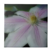 ピンクと白のクレマチス花自然 タイル (正面)