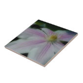 ピンクと白のクレマチス花自然 タイル (側面)