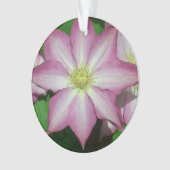 ピンクと白のクレマティス春花 オーナメント (正面)