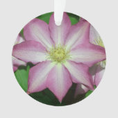 ピンクと白のクレマティス春花 オーナメント (正面)