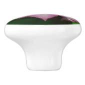 ピンクと白のクレマティス春花 セラミックノブ (側面)