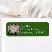 ピンクと白のクレマティス春花 ラベル (インサイチュ)