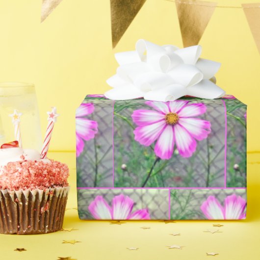 ピンクと白のコスモスの花 ラッピングペーパー (誕生日パーティー)