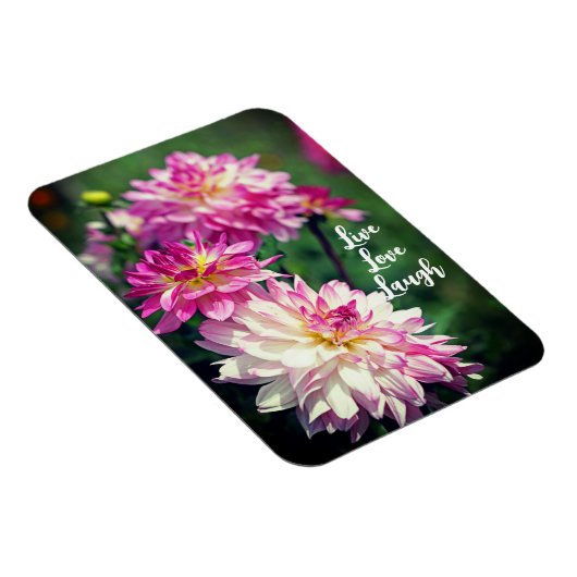 ピンクと白のダリアのやる気を起こさせる花 マグネット (右側)