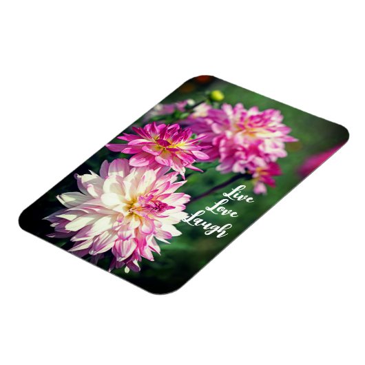 ピンクと白のダリアのやる気を起こさせる花 マグネット (左側)