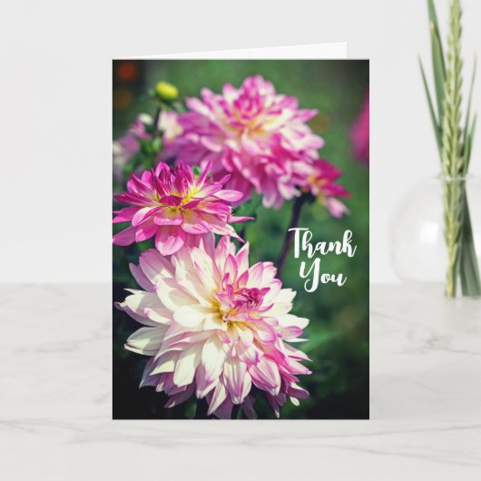 ピンクと白のダリアの花ありがとう カード (正面)