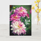 ピンクと白のダリアの花ありがとう カード (黄色い花)