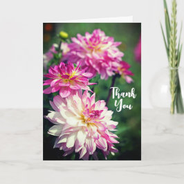ピンクと白のダリアの花ありがとう カード
