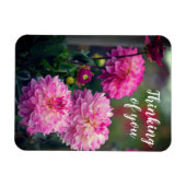 ピンクと白のダリア考えるフラワーズ マグネット (横)