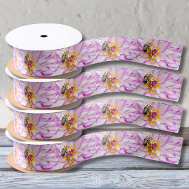 ピンクと白のダリア、のまわりにリボン サテンリボン