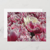 ピンクと白のチューリップの模様の回復祝いポストカード ポストカード (正面/裏面)