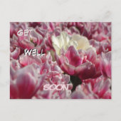 ピンクと白のチューリップの模様の回復祝いポストカード ポストカード (正面)