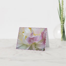 ピンクと白のチューリップの花ありがとう サンキューカード