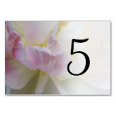 ピンクと白のチューリップの花のテーブル番号 テーブルナンバー (裏面)