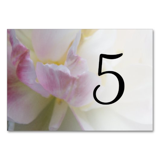 ピンクと白のチューリップの花のテーブル番号 テーブルナンバー (裏面)