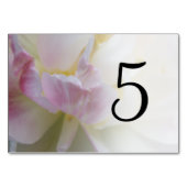 ピンクと白のチューリップの花のテーブル番号 テーブルナンバー (正面)