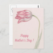 ピンクと白のチューリップ – ファインアート母の日 ポストカード (正面/裏面)