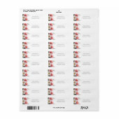 ピンクと白のデイジー 返送先ラベル ラベル (フルシート)