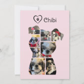 ピンクと白のハートかわいい犬のバレンタインデー シーズンカード (裏面)