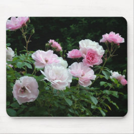 ピンクと白のバラの低木。可憐な花々 マウスパッド