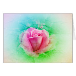 ピンクと白のピンクのバラ – グリーンリーフ