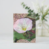 ピンクと白のフィールドバインド雑草 ポストカード (スタンド正面)