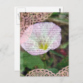 ピンクと白のフィールドバインド雑草 ポストカード (正面/裏面)