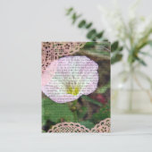 ピンクと白のフィールドBindWeed ポストカード (スタンド正面)