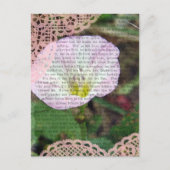 ピンクと白のフィールドBindWeed ポストカード (正面)