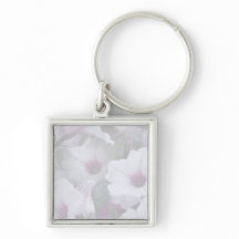 ピンクと白のペチュニア