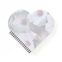 ピンクと白のペチュニア