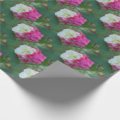 ピンクと白の変わりやすいハイビスカス開花 ラッピングペーパー (角)