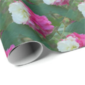 ピンクと白の変わりやすいハイビスカス開花 ラッピングペーパー (ロールコーナー)