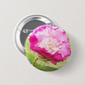 ピンクと白の変わりやすいハイビスカス開花 缶バッジ (正面&裏面)
