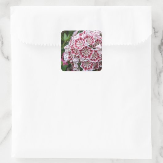 ピンクと白の山の月桂樹の正方形のシール スクエアシール (バッグ)