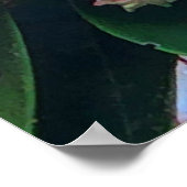 ピンクと白の山の月桂樹の花 ポスター (角)