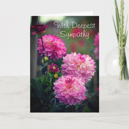ピンクと白の濃い悔やみや弔慰のダリア花 サンキューカード (正面)