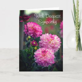 ピンクと白の濃い悔やみや弔慰のダリア花 サンキューカード