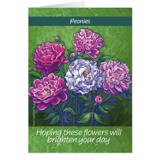 ピンクと白の牡丹の花 (正面)