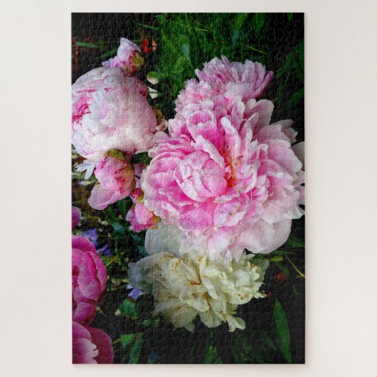 ピンクと白の牡丹 – エレガントフローラ写真 ジグソーパズル (縦)