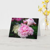 ピンクと白の牡丹 カード (黄色い花)