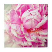 ピンクと白の牡丹 タイル (正面)