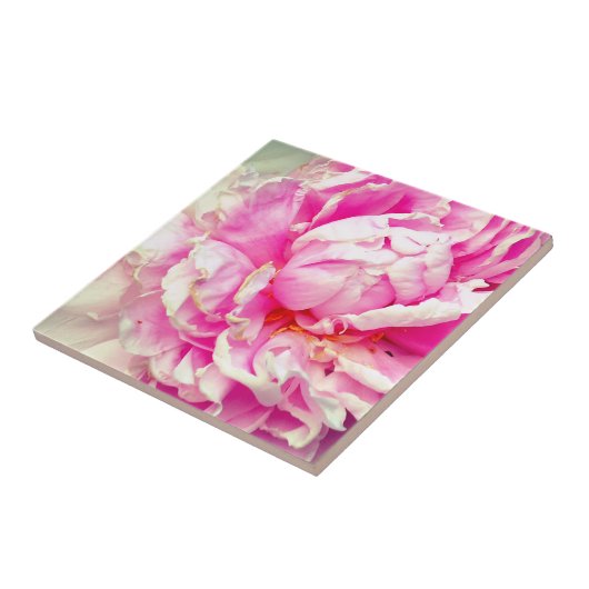 ピンクと白の牡丹 タイル (側面)