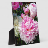 ピンクと白の牡丹 フォトプラーク (側面)