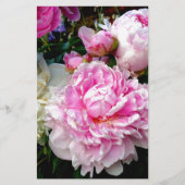 ピンクと白の牡丹 便箋 (正面)