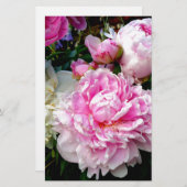 ピンクと白の牡丹 便箋 (正面/裏面)