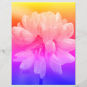 ピンクと白の花がクローズアップ (裏面)